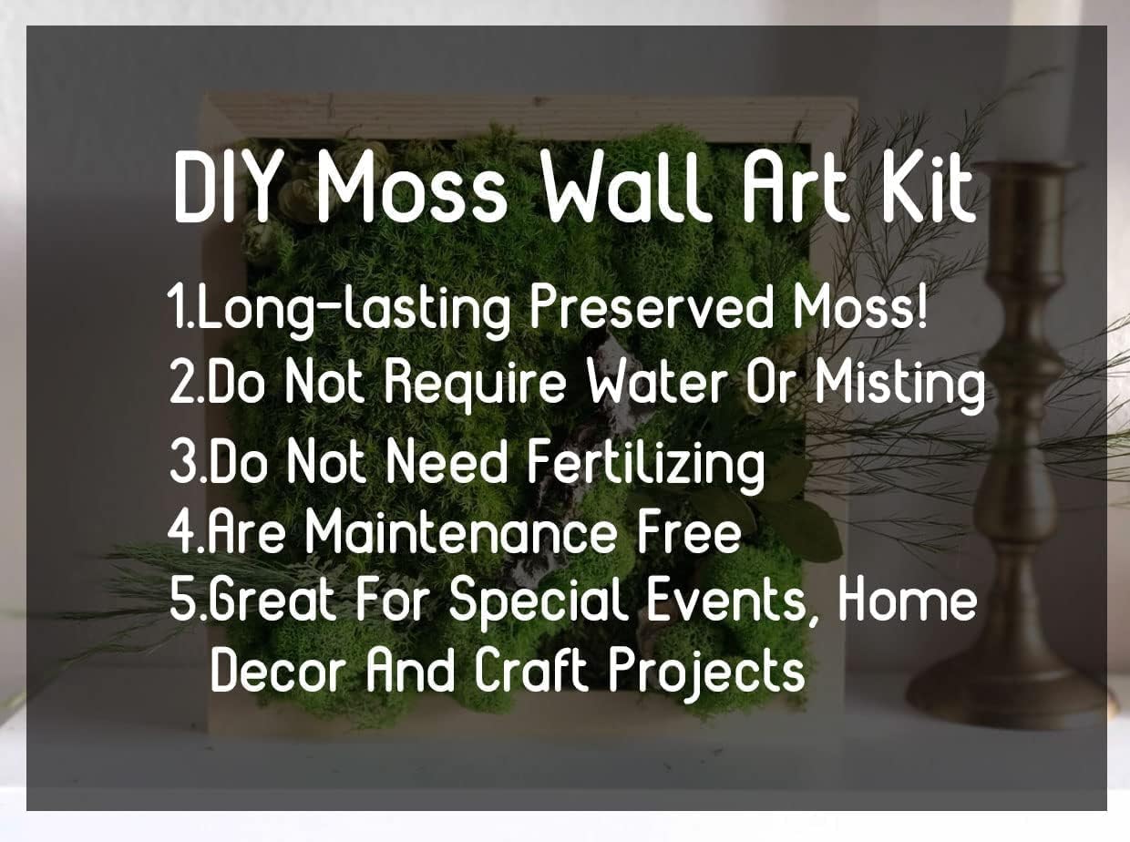 Preserved Sheet Moss Natural Green Decorative Real Natural Green DIY Kit Gardenning Art Wall Decor Florist Decor Easter Table Decor Wedding(4 sq.ft.) (Green-A,Green-B,Green-C)