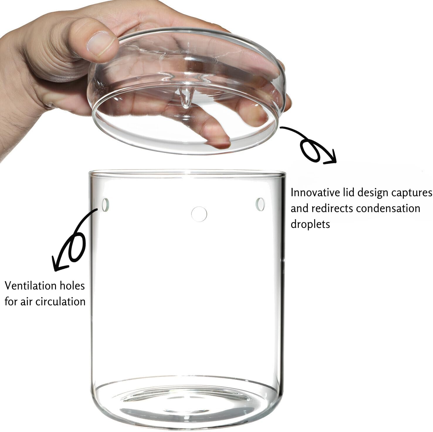 Small Glass Terrarium Jar with Lid – 4.7 x 7 Inch Closed Plant Terrarium for Succulents, Moss, Venus Fly Trap & Self-Sustaining Ecosystems – Ideal Indoor Decor for Home & Tabletop