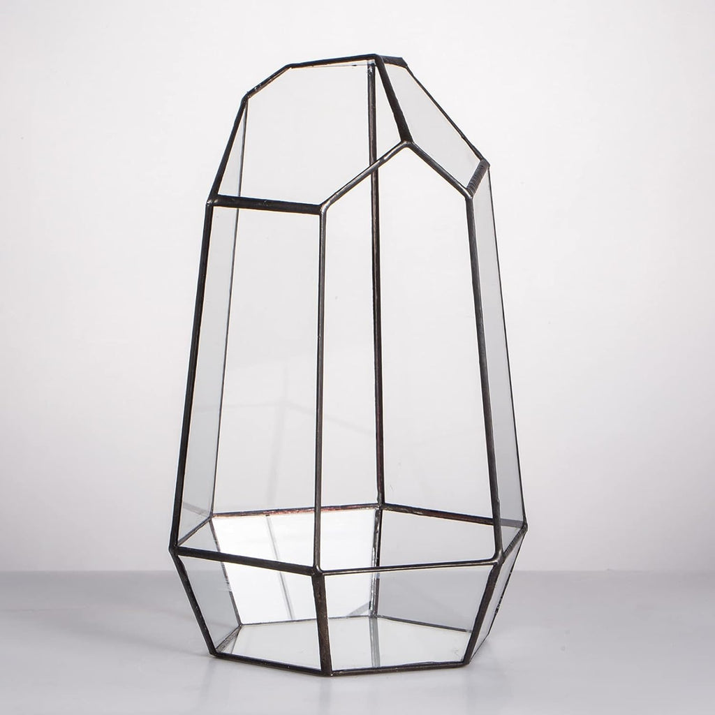 NCYP Geometric Glass Terrarium Planter for Succulent, Small Cacti, Black Irregular Opened Container Pot, Indoor Home Garden Office Tabletop Decor, 6.5" x 5.7" x 9.8" (No Plants, No Door)