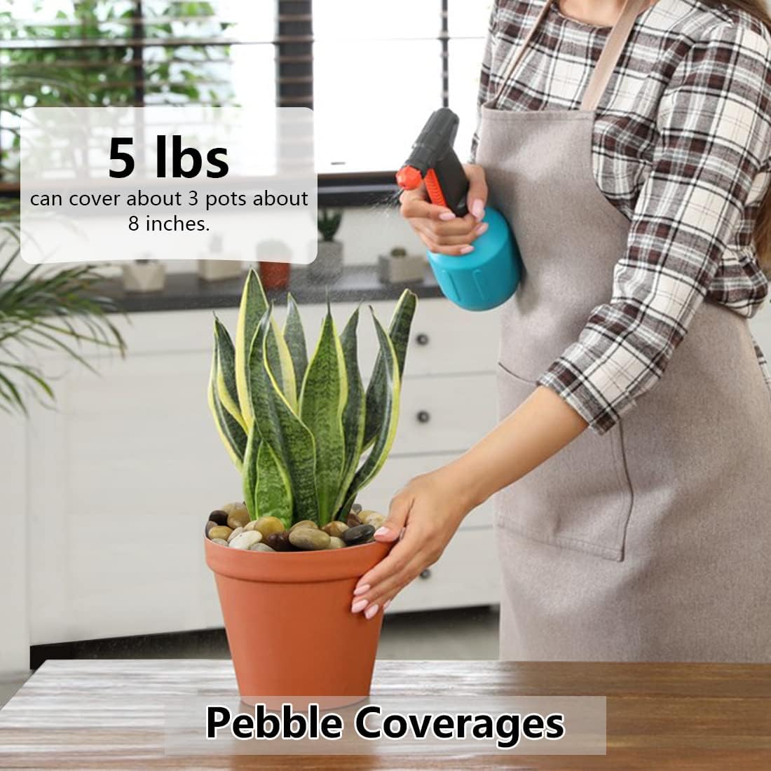 Pebbles for Indoor Plants, Natural Polished River Rocks, Small Decorative Mixed Color Stones for Planters Vase Fish Tank Aquariums Landscaping Garden, 5lbs