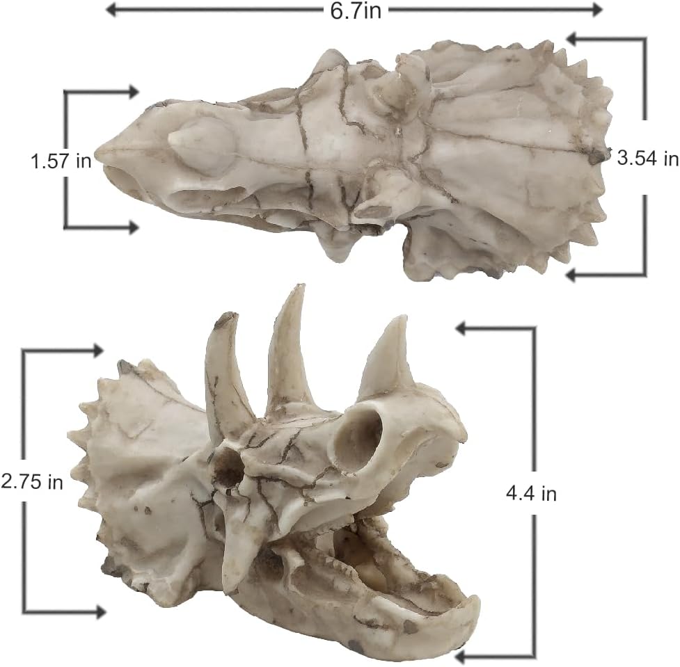 Dinosaur Skull Aquarium Décor - Fish Tank Decoration Hideaway for Fish,Natural Look, 6.3"x4"x4" - Fun Underwater Environment! (6.7")