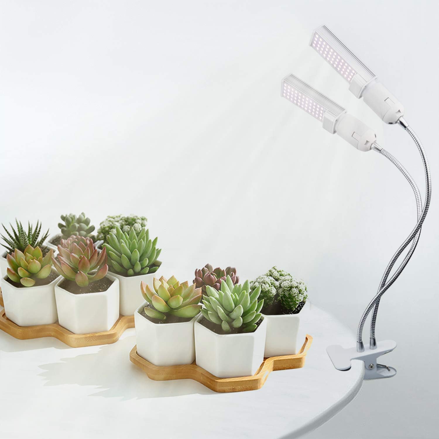 A Plus Smart LED Grow Lights for Indoor Plants - Real Time Sunlight Brightness Simulation, Full Spectrum Grow Light with 2-24 Hours Timer, Auto on/Off, Independent Control Dual Heads, Dimmable
