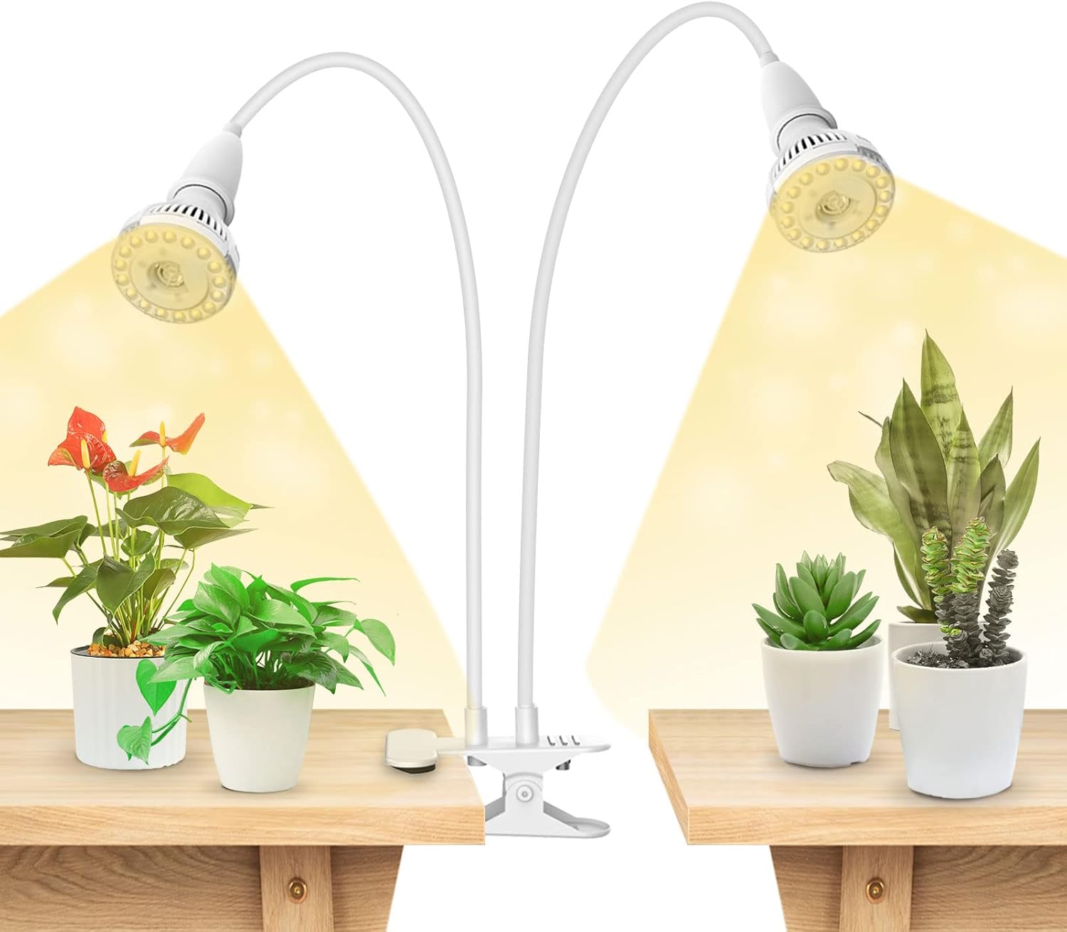SANSI LED Grow Lights for Indoor Plants, 300W Full Spectrum Clip-on Gooseneck Grow Light with Ceramic Tech.,20W Plant Light for Indoor Growing High PPFD, Lifetime Free Bulb Replacement White, No Timer