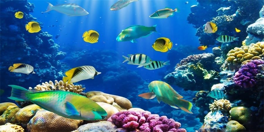 YongFoto Ocean Theme Fish Tank Background 30x12 inch Coral Seaweed Reef Rock Seafloor Tropical Fish Underwater Sea World Polyester Backdrop Reptile Habitat Terrarium Aquarium Background