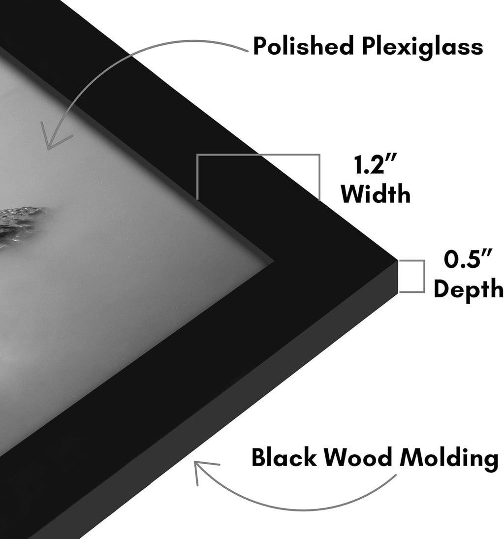 Americanflat 14x18 Picture Frame with Polished Plexiglass - Black Picture Frame - Wide Photo Frames Made of Engineered Wood for Vertical or Horizontal Wall Display - Epic Collection - Black