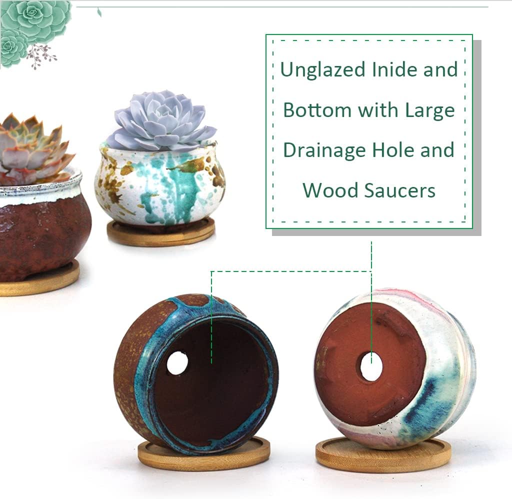 Succulent Pot 4 Inch Hand Glazed Plant Pot Round Ceramic Succulent Planter with Drainage and Saucer Cactus Clay Pot Set of 4