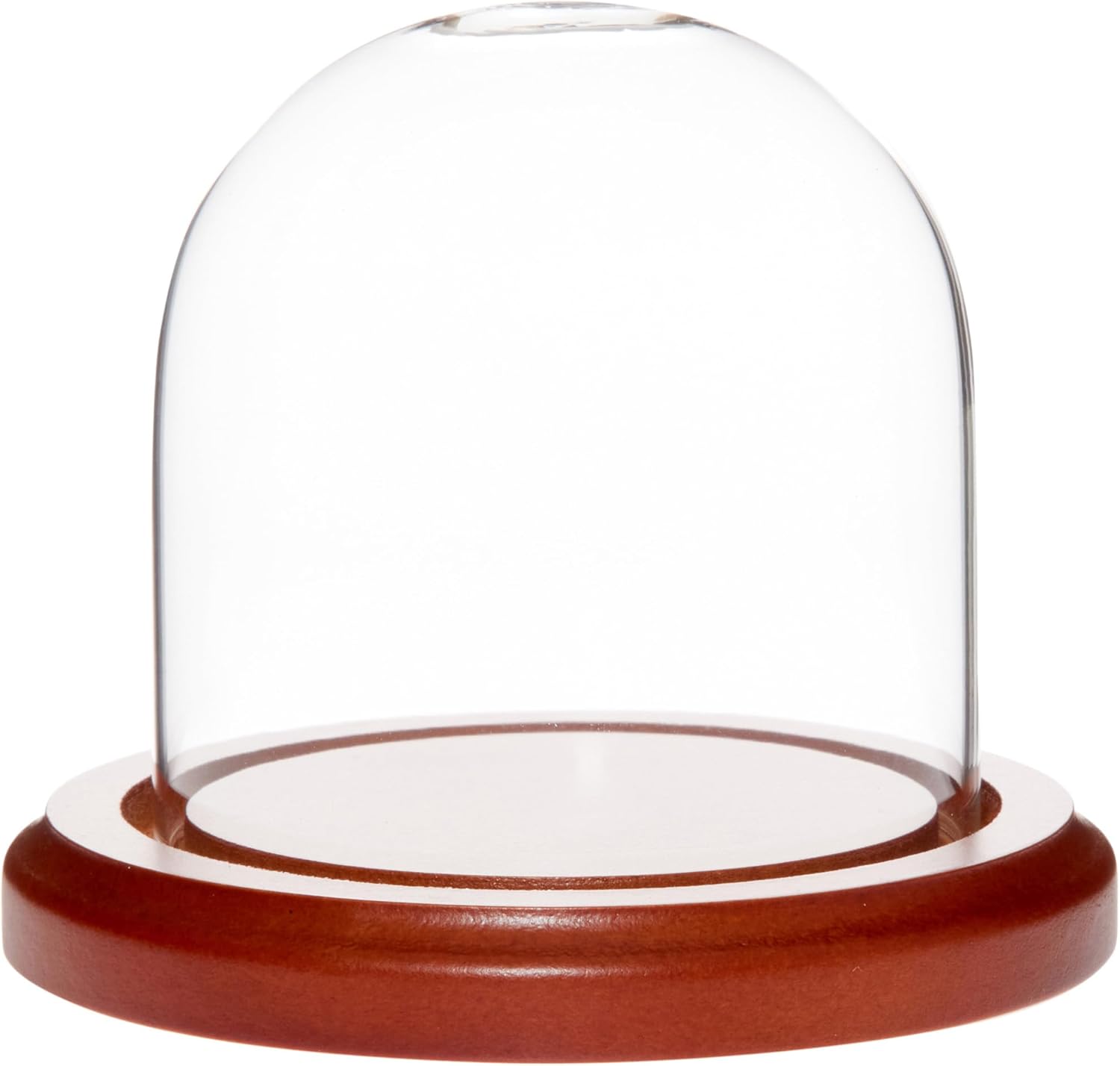 Plymor 3" x 3" Glass Display Dome Cloche (Walnut Base)