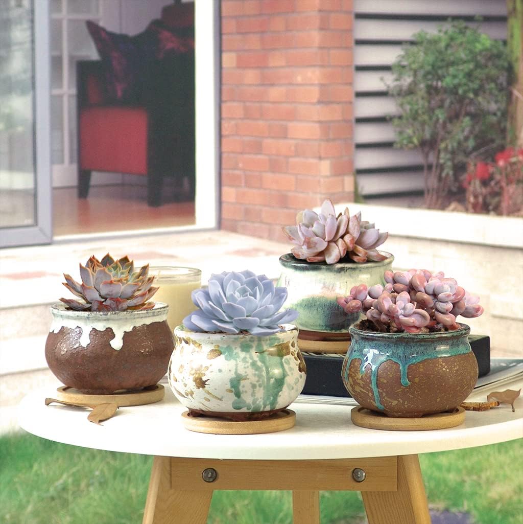 Succulent Pot 4 Inch Hand Glazed Plant Pot Round Ceramic Succulent Planter with Drainage and Saucer Cactus Clay Pot Set of 4