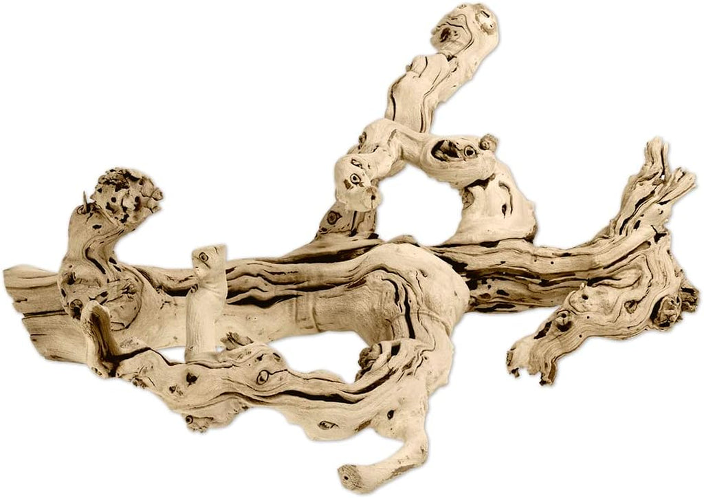 Koyal Wholesale 18" Natural Grapevine, Sandblasted Reptile Wood Branches, Terrarium Grapewood, Reptile Branch, Grapewood Branch, Grapevine Wood for Wedding Centerpieces, Branch Decor