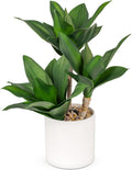 Hollyone Large Artificial Agave Plants Fake Three-Head Agave Succulent Plant Potted 15" Faux Plant in White Pot Succulent Aloe Plant Indoor for Desk Modern Home Decor
