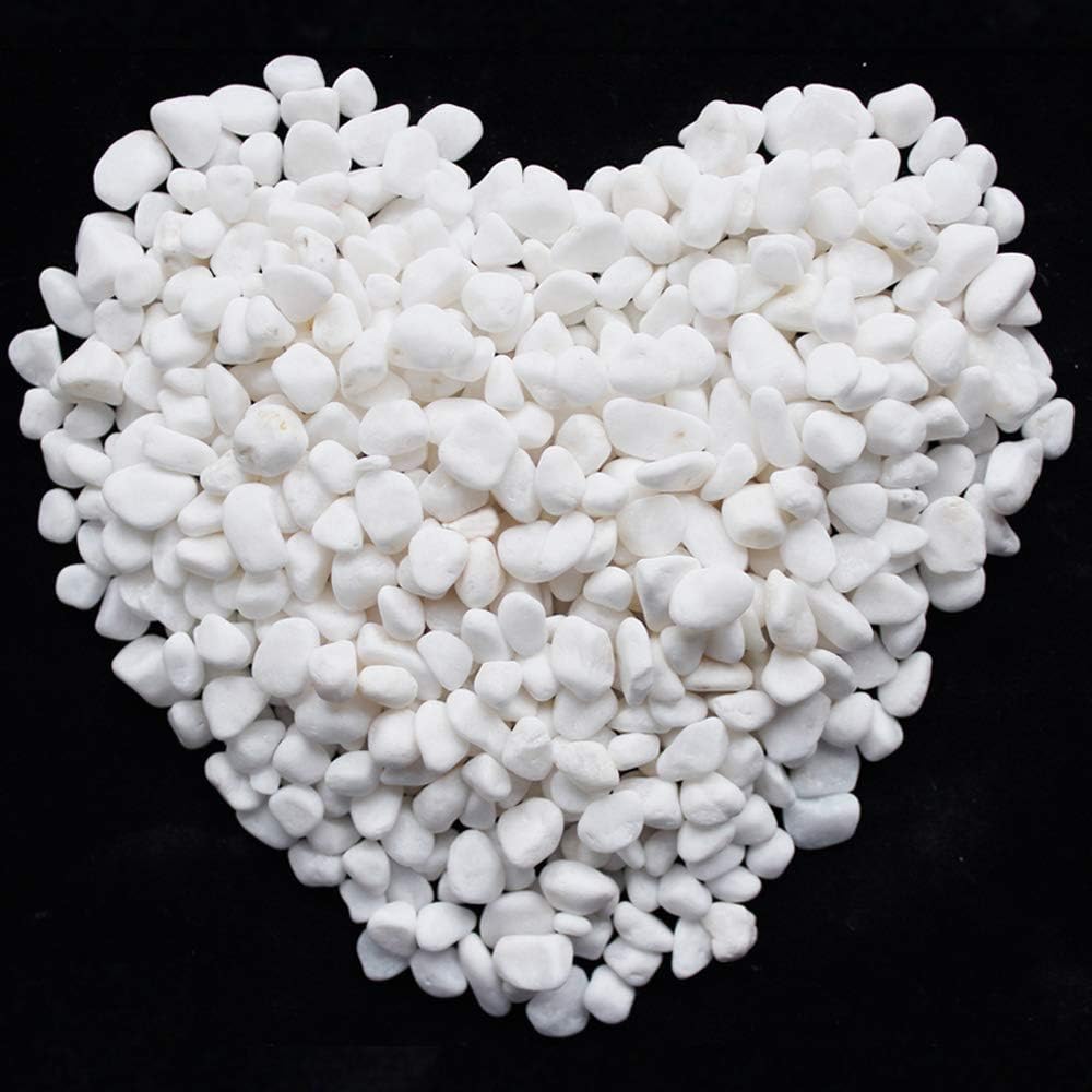 WAYBER 1 Lb/460g White Stones Decorative Pebble Rock Sand for Aquarium/Fish Turtle Tank/Vase Filler/Succulent Plants Decoration (Fill 1 Cup)