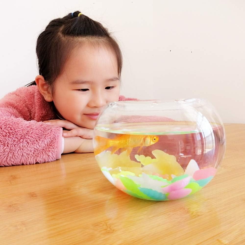 Aquarium Rocks, Can Glow in The Dark After Daily Exposure to Light, Cute Sea Item Shaped Decor Stones for Fish Bowl, Garden, Ponds, Handmade Crafts, Non-Toxic Colorful Fish Tank Substrate