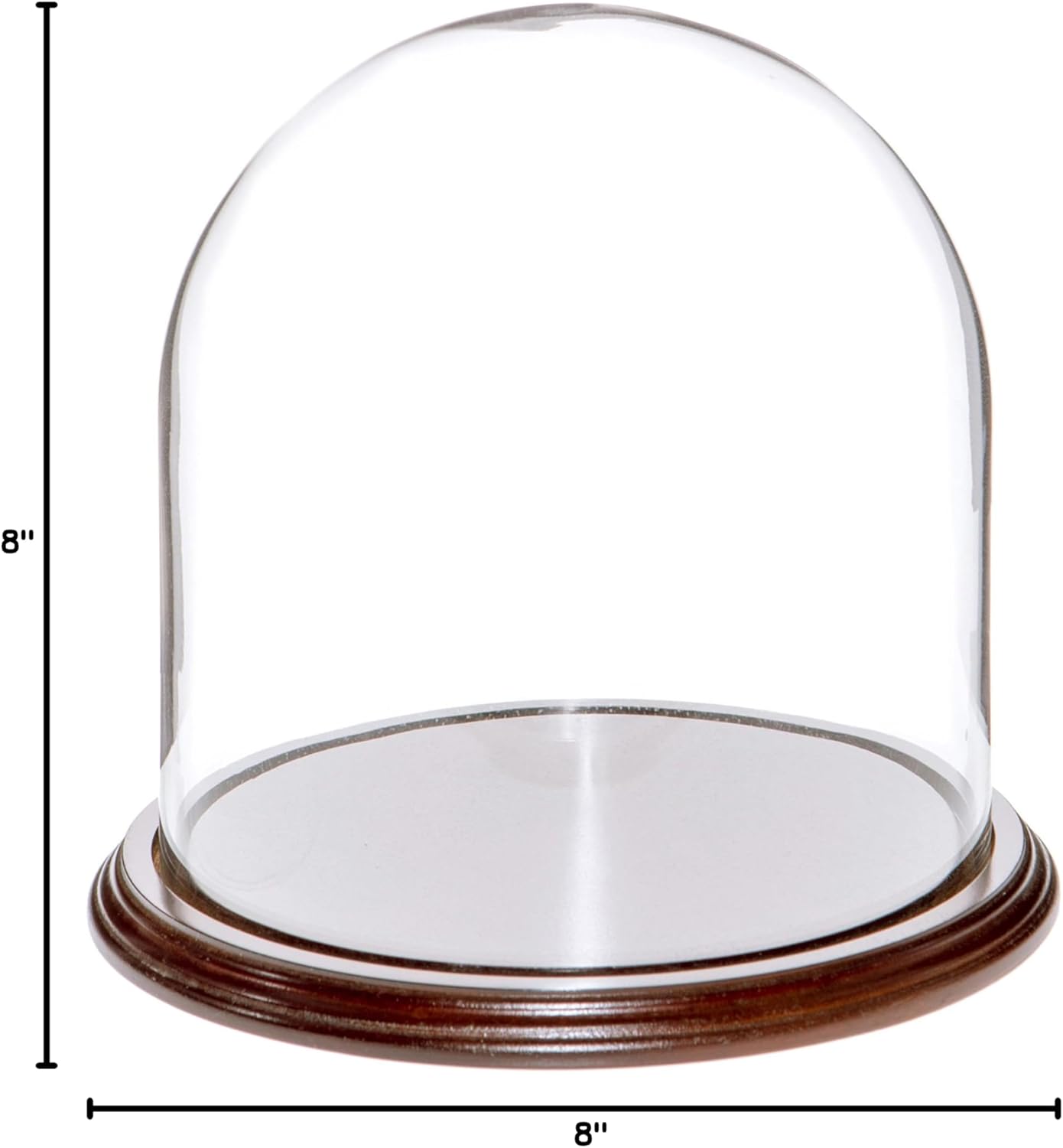 Plymor 8" x 8" Glass Display Dome Cloche (Dark Mahogany Veneer Base)