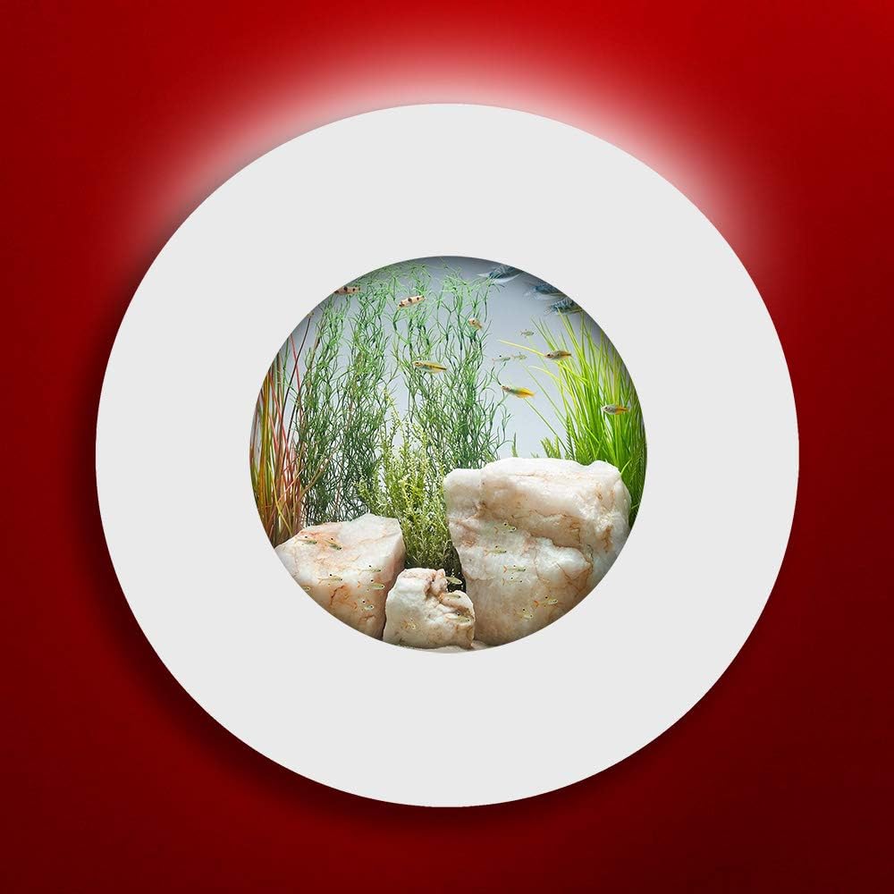 Aussie Aquariums AA-Porthole-MWHITE 2.0 Wall Mounted Aquarium, Matte White