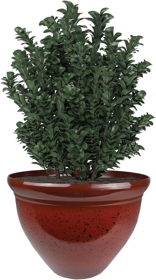 The HC Companies 12 Inch Pizzazz Round Planter Pots with Ceramic Look, Lightweight UV-Resistant Plastic Outdoor Planters, 2-Pack Flower Pots for Garden & Home Decor, Warm Red