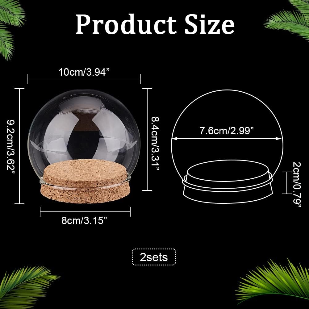 NBEADS 2 Sets Round Glass Display Dome, Mini Glass Cloche Dome Clear Glass Plant Terrarium Decor with Cork Base 3.94" in Diameter Jar Cloche for Flower Aquarium Christmas Party Office Home Decor