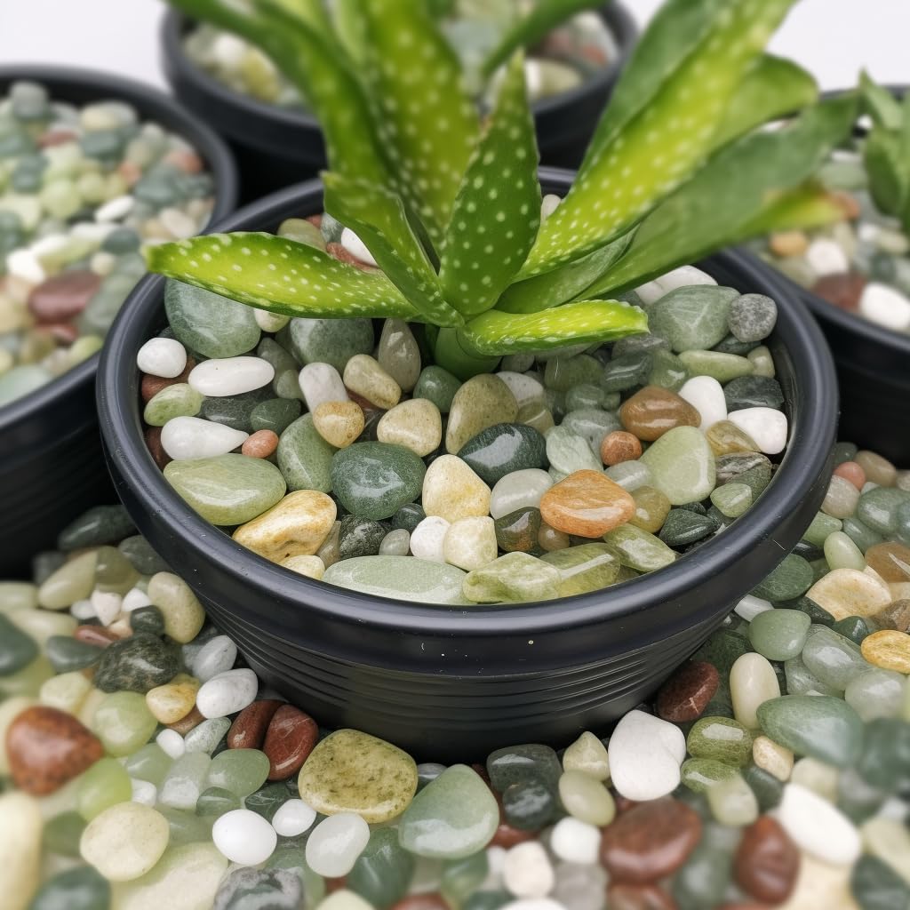 2 LBS River Rocks, StoneCreek, Decorative Garden Stones for Plant Landscaping, Polished Gravel Filler Pebbles for Home Decoration, Vases, Succulents, Flower Beds and Fish Tanks (Jade, Medium)