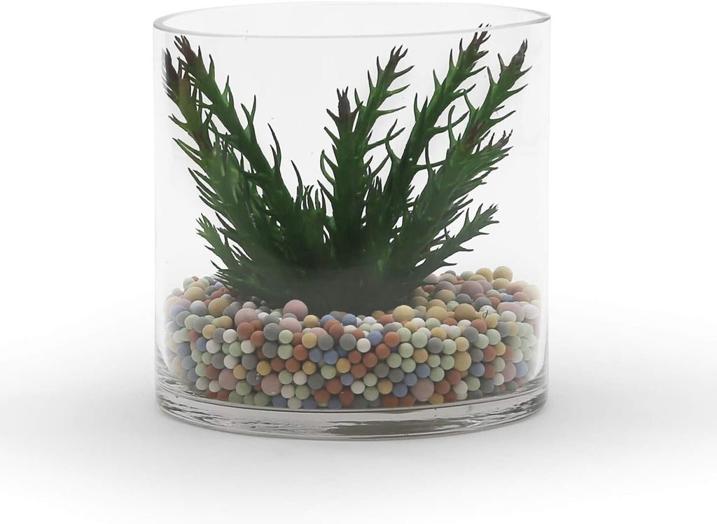 WGV Cylinder Vase Bulk, Width 6", Height 6", Clear Glass Container Terrarium Candle Holder for Wedding Centerpiece, Party Event, Home Office Decor, 12 Pieces