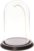 Plymor 4.5" x 8" Watch/Ornament Glass Display Dome Cloche (Black Wood Veneer Base & Gold Wire)