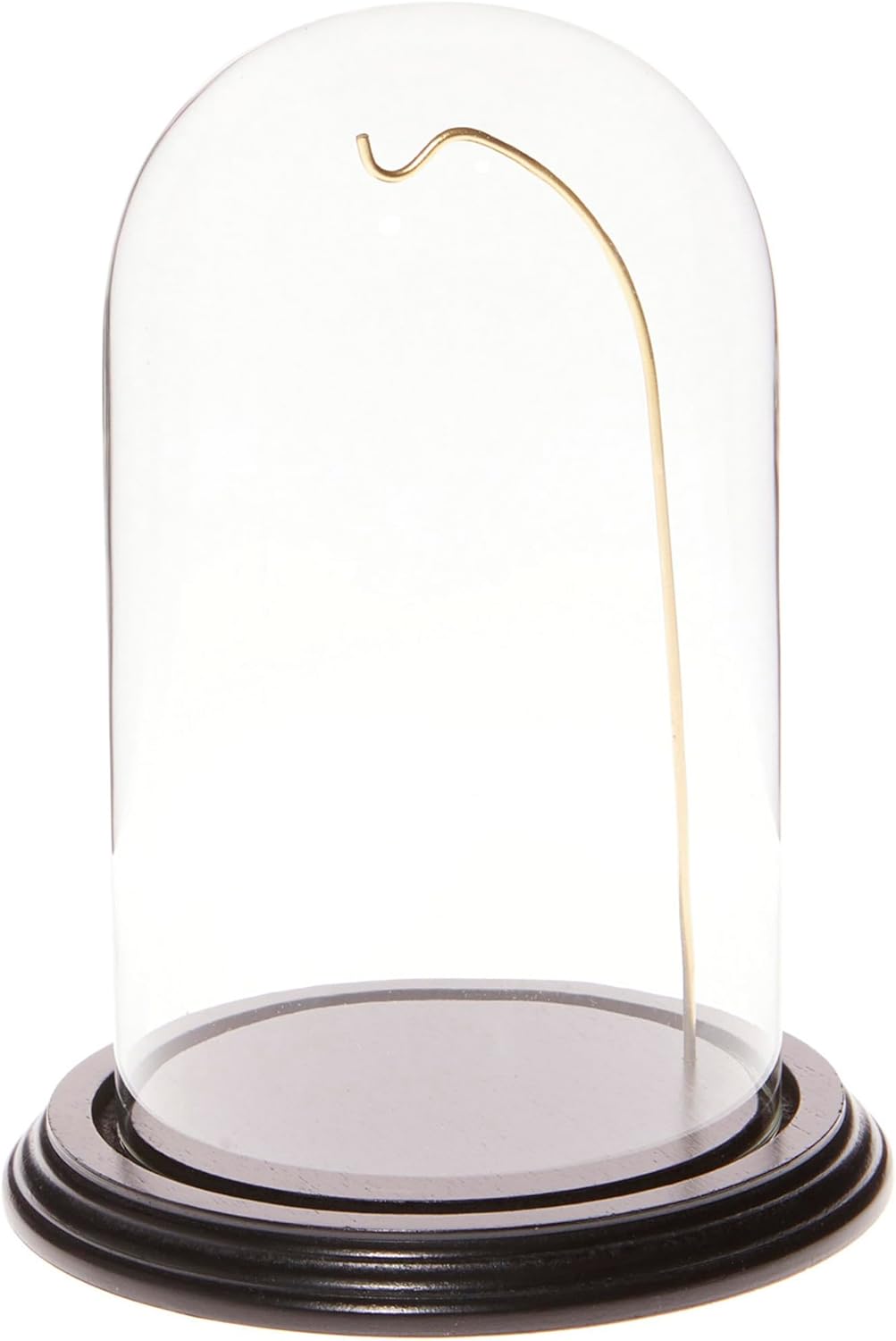 Plymor 4.5" x 8" Watch/Ornament Glass Display Dome Cloche (Black Wood Veneer Base & Gold Wire)