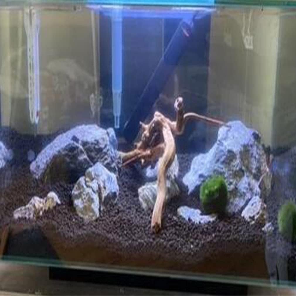 Emours Natural Aquarium Driftwood Tropical Fish Plant Habitat Decor Vary Sizes, 2 Pcs Set (Medium)