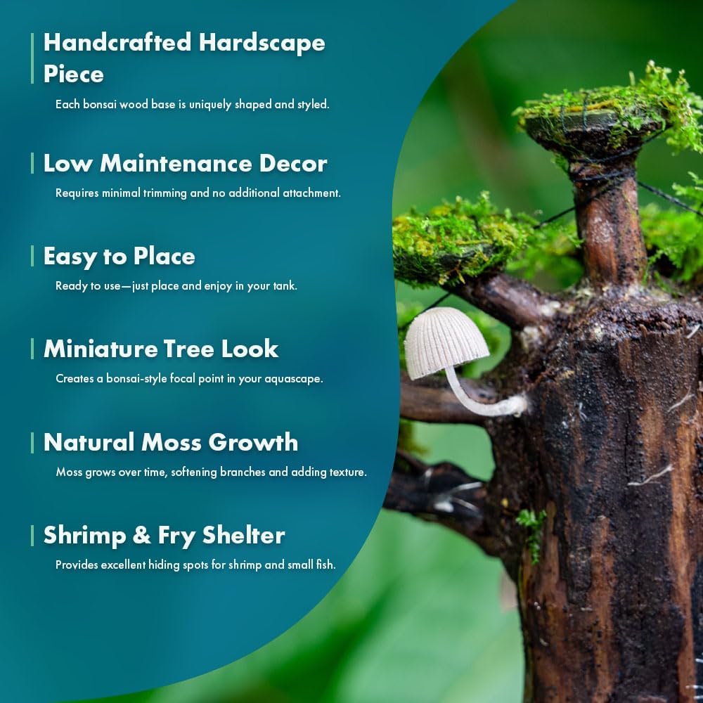 SubstrateSource Live Planted Decor - Moss on Bonsai (Aquascaping Tree) - Low to Moderate Light, Bright Green Freshwater Accent for Aquatic Layout, Midground Placement Centerpiece - Large, 1 Pack