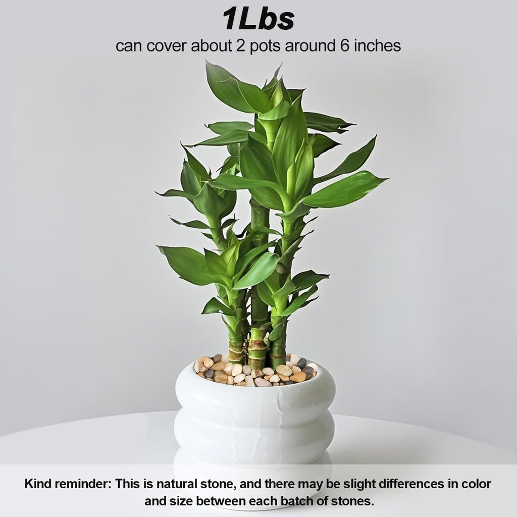 Landscaping Pebbles River Rocks Decorative Ornamental Pebbles Garden Landscaping Stones Gravel Filler for Home Decoration Flower Bed Fish Tank Plants Vases Succulents (1, Mixed Color, 1 Pound)