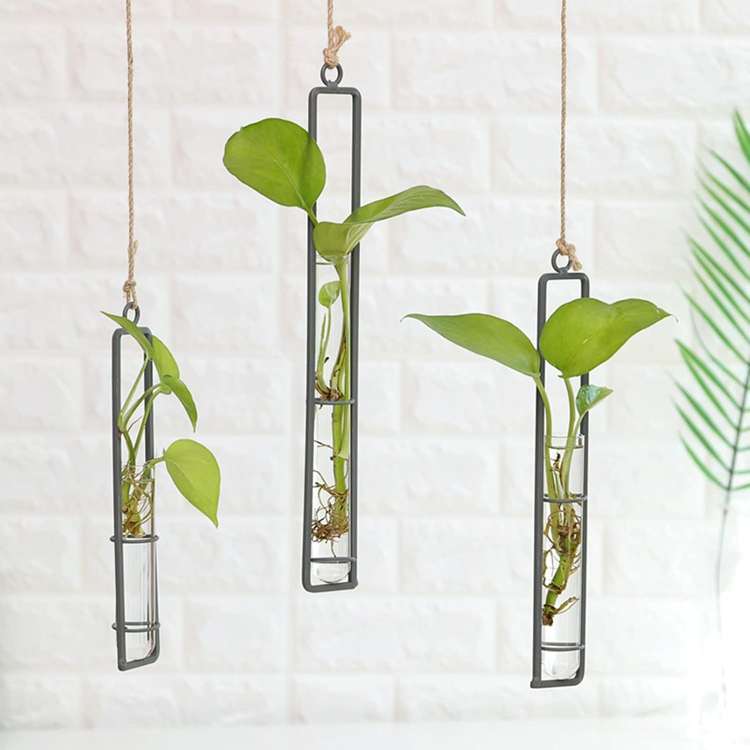 3 Pieces Hanging Glass Hydroponic Planter Transparent Test Tube Plant Vase Terrarium Container for Indoor Outdoor Modern Home Decoration (Black)