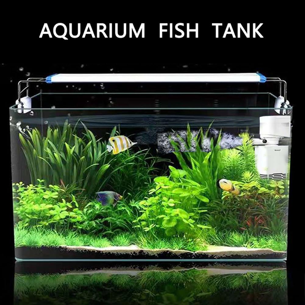 2 Gallon Aquarium Fish Tank，Rimless Aquarium Tank，9.8" L × 7.1" H × 6.3" W