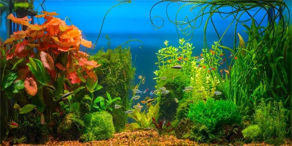 AOFOTO 15x8ft Aquarium Backdrop Decoration Blue Ocean Fish Deep Water Plants Seabed Scene Underwater Scene Background for Photography Kids Adults Birthday Party Events Photo Studio Props Vinyl