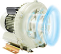 370W Industrial Vortex Air Blower, 110V Commercial High Pressure Aquaculture Air Pump, 60m³/h Output Electric Oxygen Pump for Fish Pond Aquarium Water Tank(US Standard)