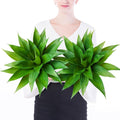 CXGS Artificial Agave Plant Large Fake Plants 2 Pack 22 Inch Faux Plants UV Resistant Agaves Greenery for Home Indoor and Outdoor Decor