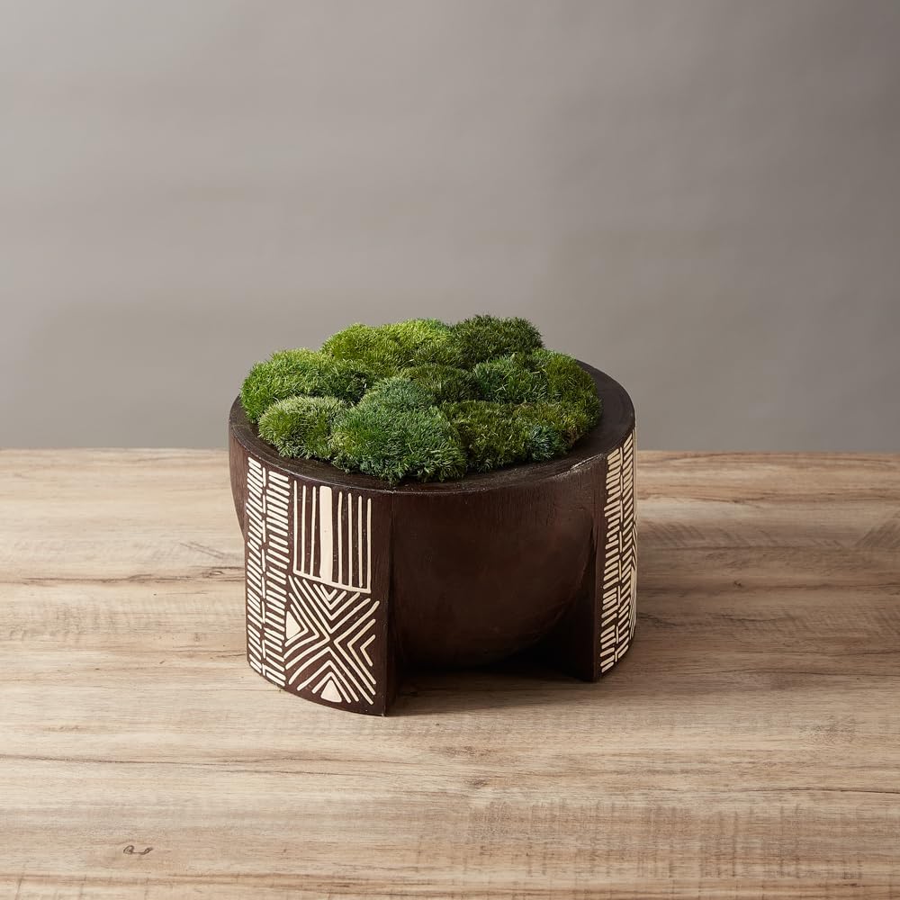 Preserved Pole Moss Pillow Bun Cushion Natural Green Decorative Real Natural DIY Kit Terrariums Garden Art Wall Florist Easter Wedding Decor (1.5 sq.ft., Green-A)