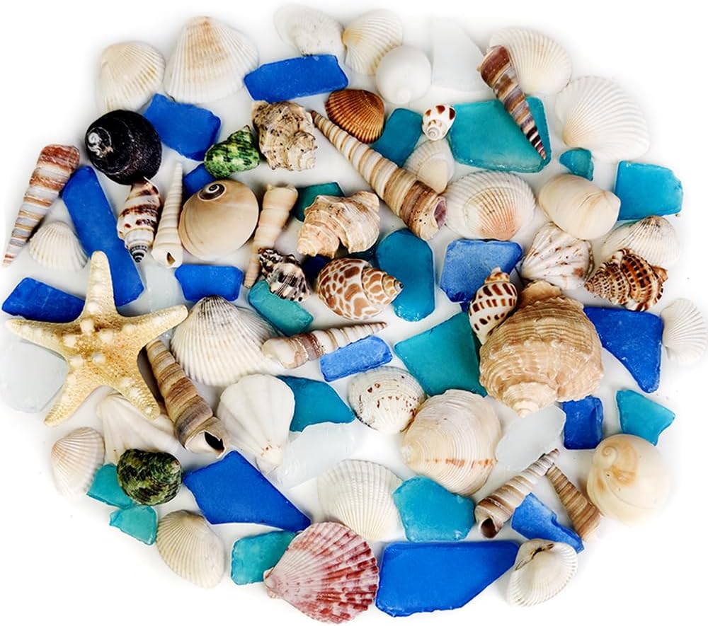Natural Mixed Seashells Conch Starfish Sea Glass 1-2.8 Inch,16.5 OZ Bulk Ocean Beach Theme Party Decor for Coastal Crafts,Resin Arts, Aquarium Decor,Wedding Table Shells,Nautical Home Vase Fillers