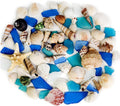Natural Mixed Seashells Conch Starfish Sea Glass 1-2.8 Inch,16.5 OZ Bulk Ocean Beach Theme Party Decor for Coastal Crafts,Resin Arts, Aquarium Decor,Wedding Table Shells,Nautical Home Vase Fillers