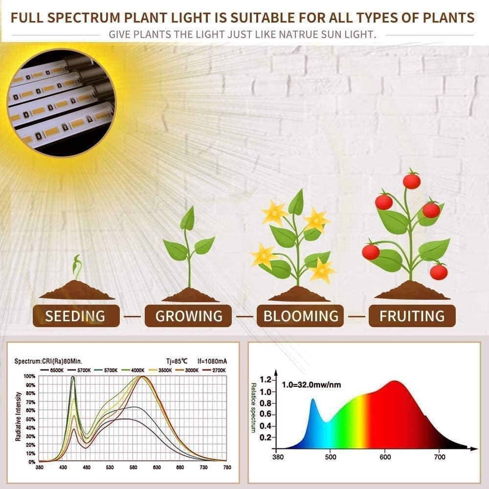 bseah Grow Light Plant Light Indoor Plants, Full Spectrum Clip Plant Growing Lamp, 10-Level Dimmable, Timer Needs Set Daily (2 Pack)