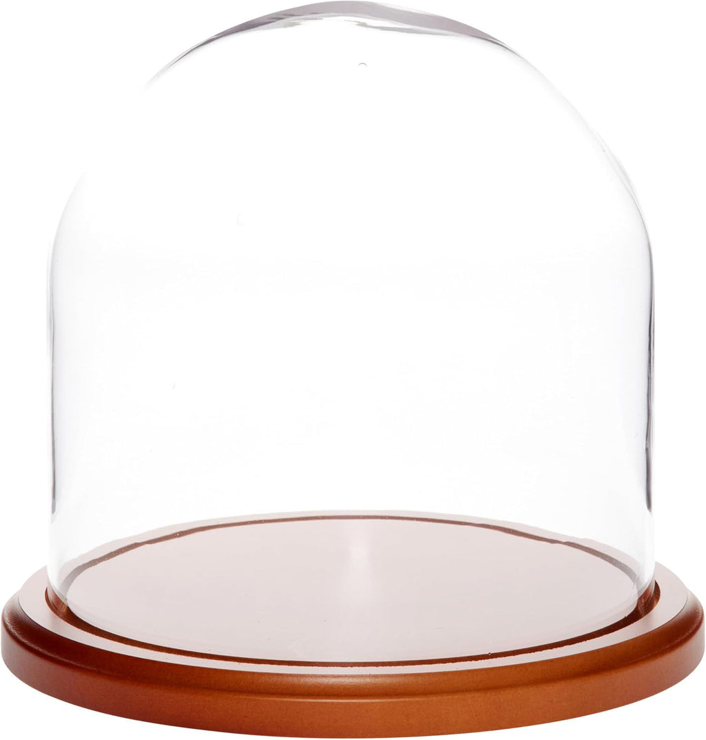 Plymor 8" x 8" Glass Display Dome Cloche (Walnut MDF Base)