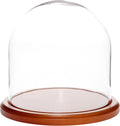 Plymor 8" x 8" Glass Display Dome Cloche (Walnut MDF Base)