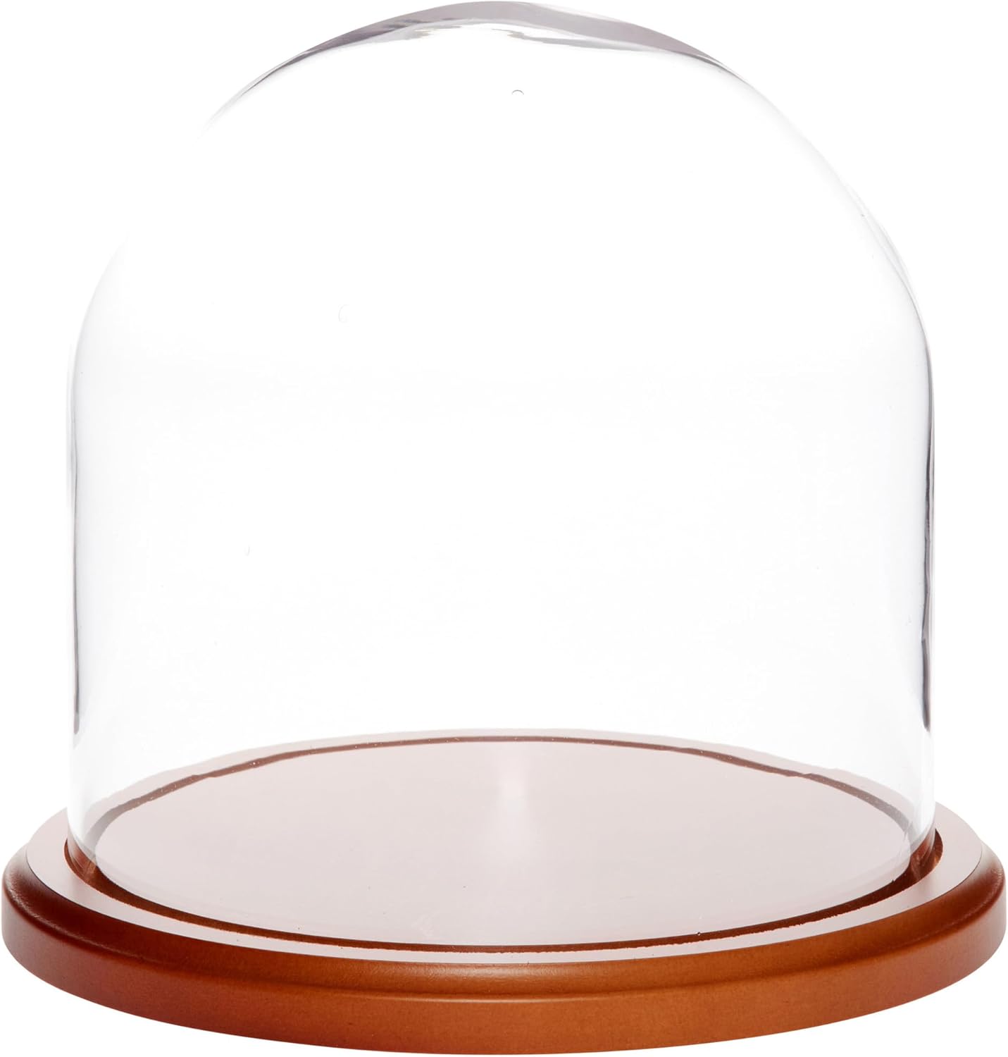 Plymor 8" x 8" Glass Display Dome Cloche (Walnut MDF Base)