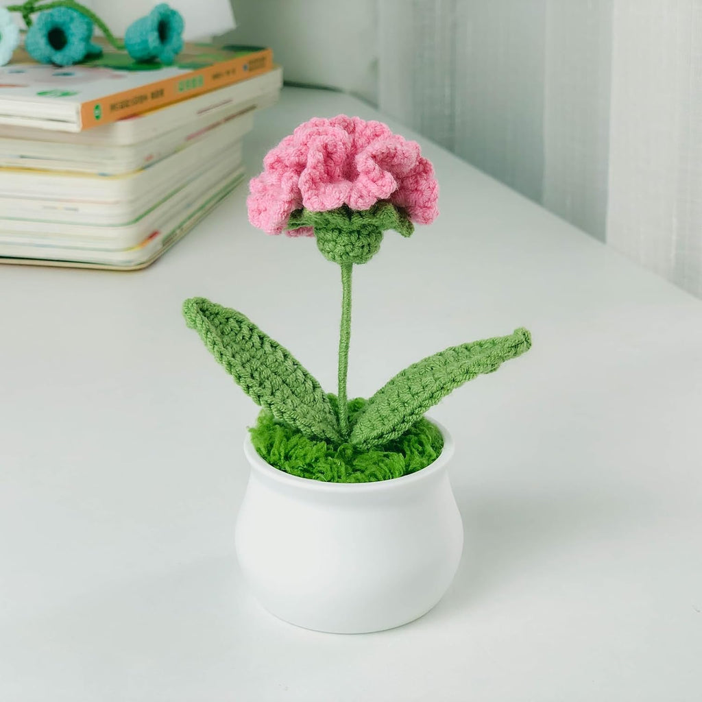 Crochet Flowers Cute Little Potted Flower, Gift for Mother's Day, Birthday, Teacher’s Day, Graduation, Anniversary, Decor for Car Dashboard,Home Office Decoration (Rose red Carnation)