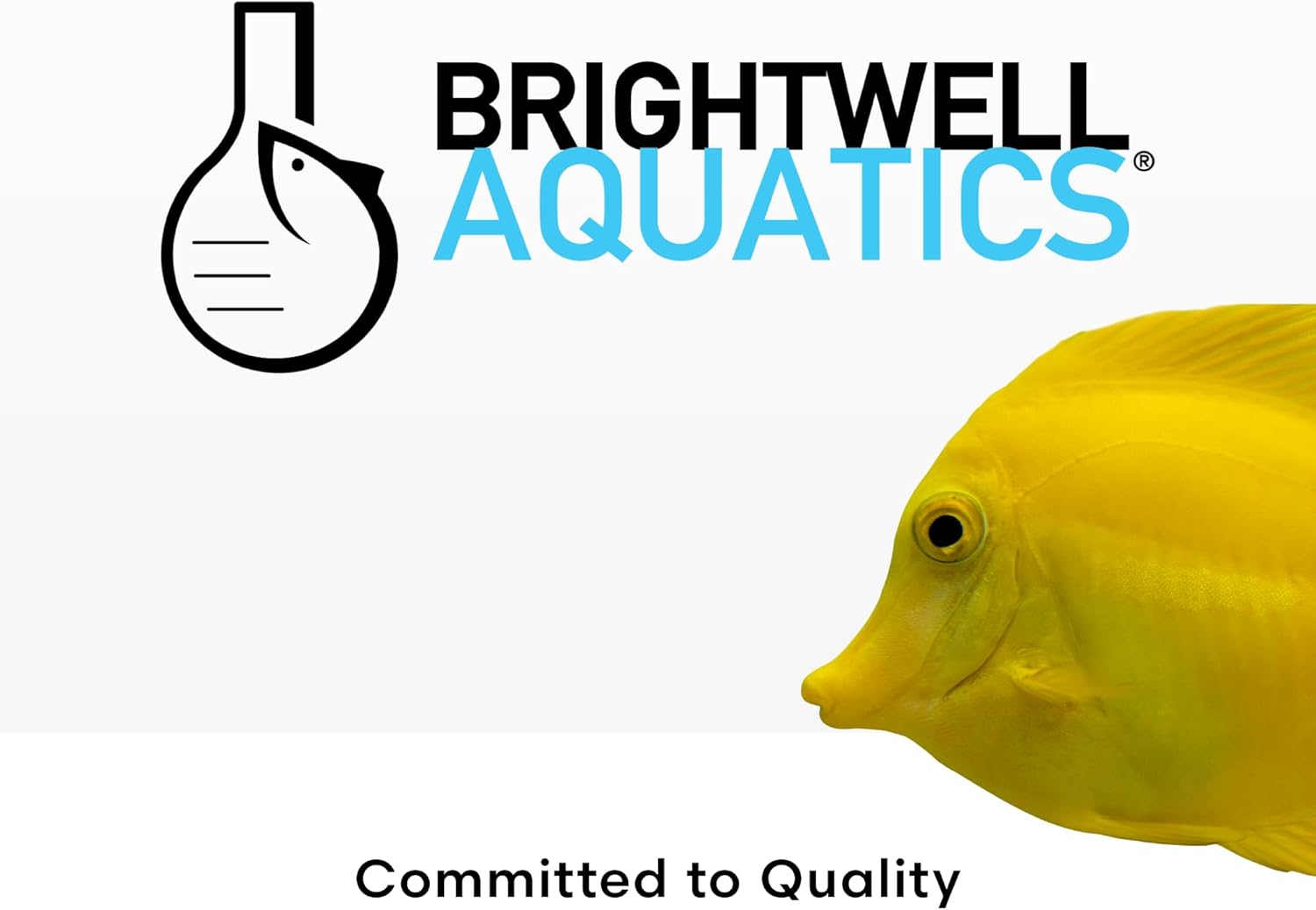 Brightwell Aquatics Koral MD Pro - Professional Strength Coral & Frag Dip & Cleaner, Conditioner & Acclimator for Coral Aquarium Tanks - Aquarium Water Treatments & Reef Supplies, 1.01 fl oz