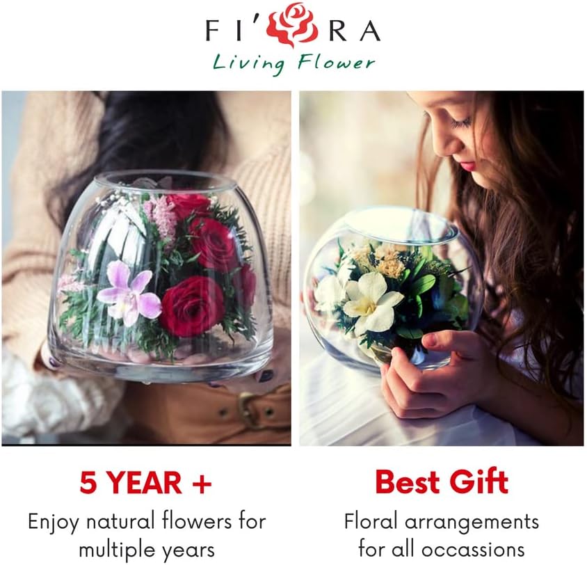 Luxury Orchid Arrangement | Preserved Orchids in Glass Vase | Long-Lasting Flowers for Anniversary, Wedding, or Corporate Gifts