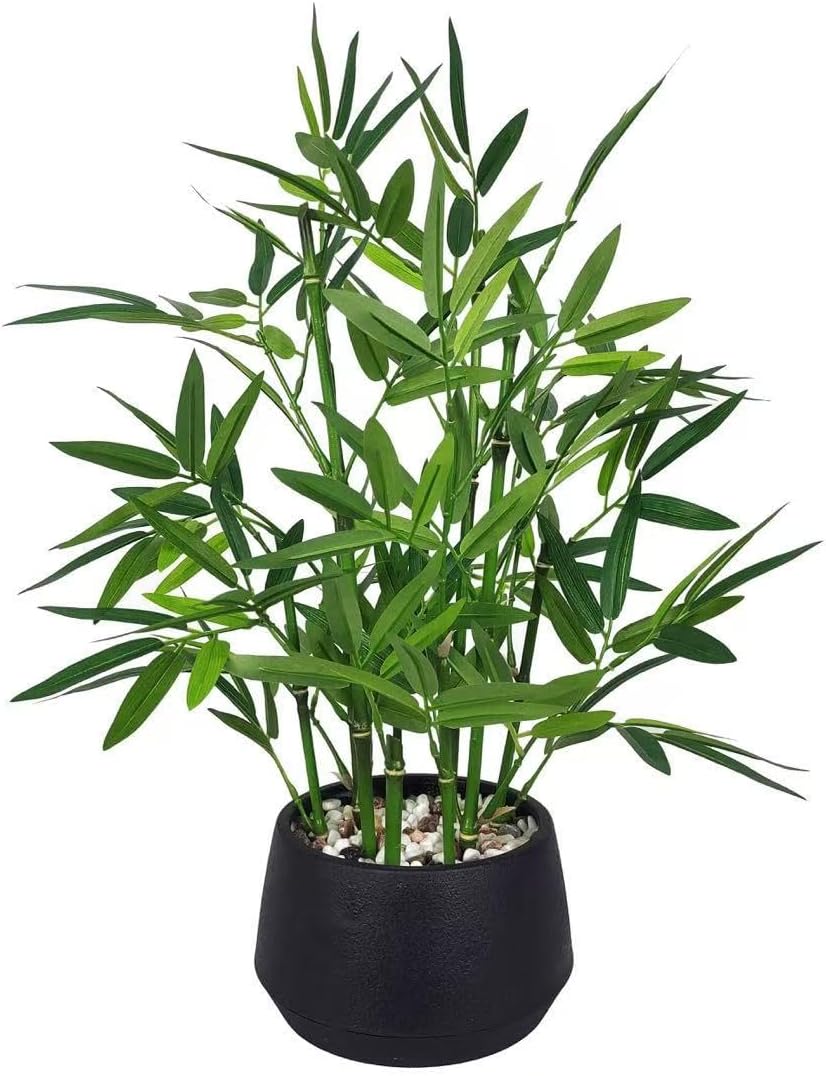 365 Blooming Decor 18-inch Tall Potted Faux Bamboo Plant (Black Pot) - Luxury Artificial Bamboo in Black Textures Pot for Home, Office, Kitchen, Counter Top, Indoor Decor, Money Tree, Lucky Tree
