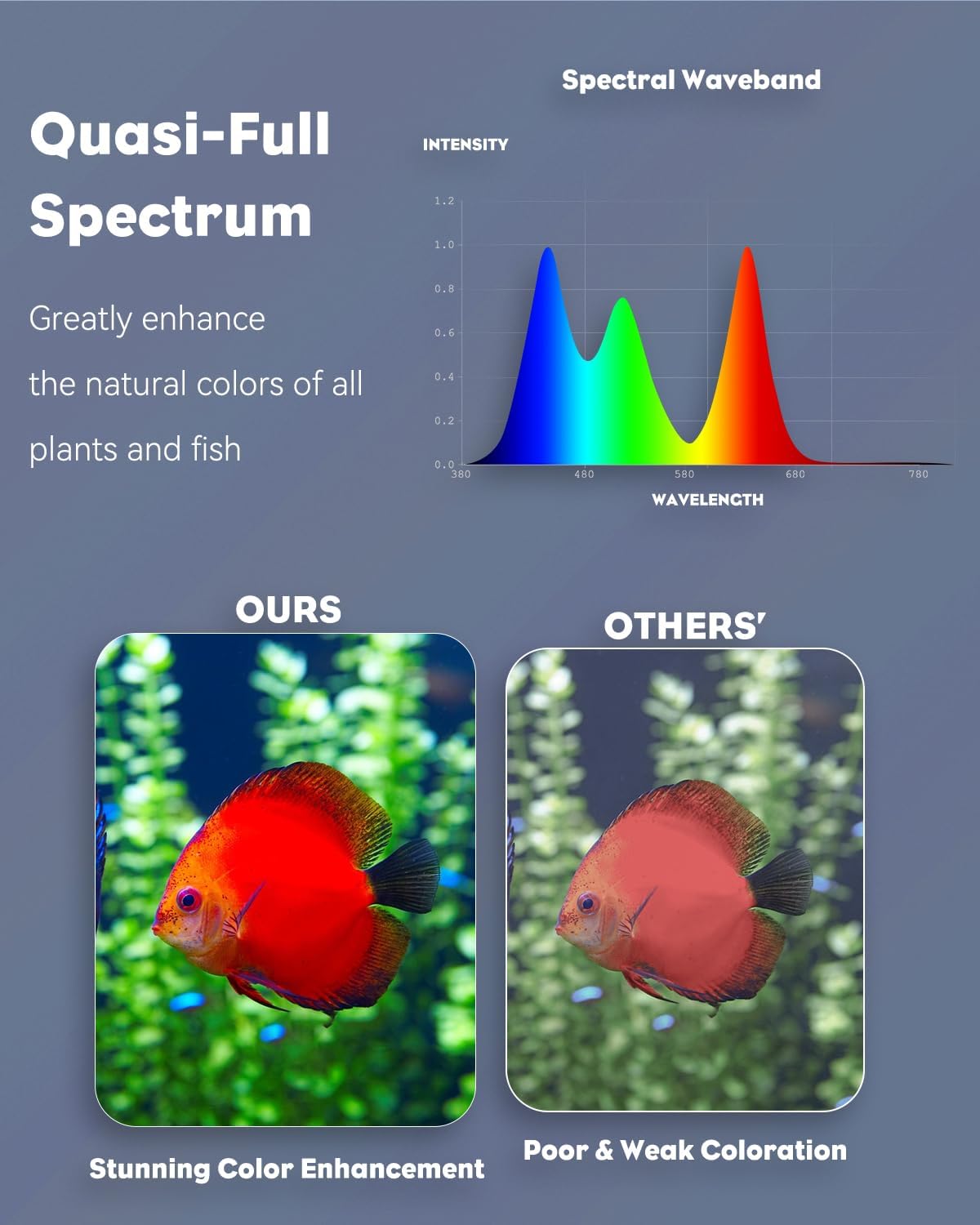 Pawfly 8 Inch 8 W Aquarium Color Enhancement Light for 8" to 15" Fish Tanks, IPX8 Waterproof Aquarium Enhancing LED Light, Brilliant RGB Lights with 7 Single Effects Timer & Adjustable Brightness
