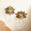 Artilady 2 Pack Plant Propagation Station Lotus Flower Wall Hanging Wood Plant Terrarium for Hydroponics Home Office Decor Test Tube Propagate Air Cutting Holder