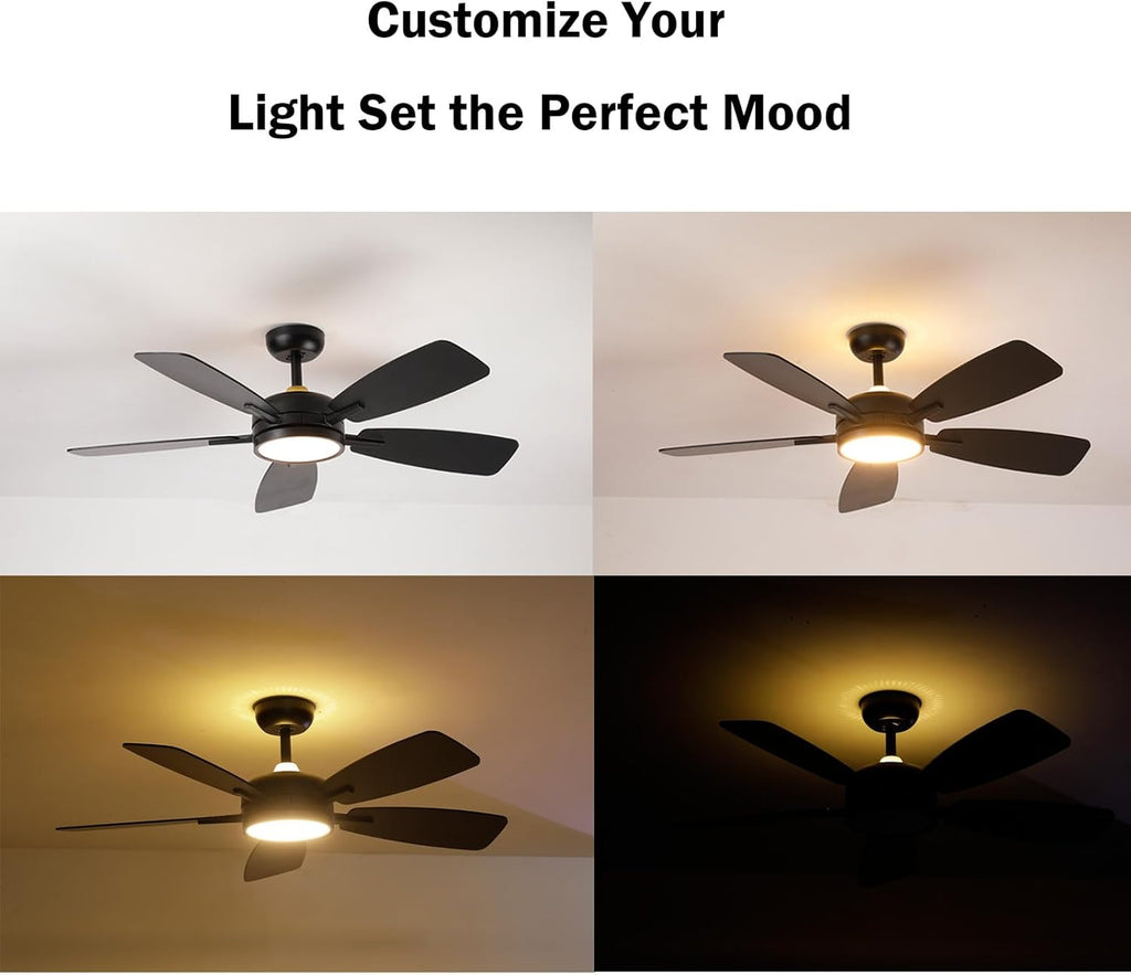 Roomratv Ceiling Fans with Lights,46 Inch,Remote Control,Night Light,Dimmable,Reversible,Noiseless,6 Speeds,Timer,Black Modern Ceiling Fan for Living Room,Bedroom,Kitchens,Kis room,Outdoor Patio