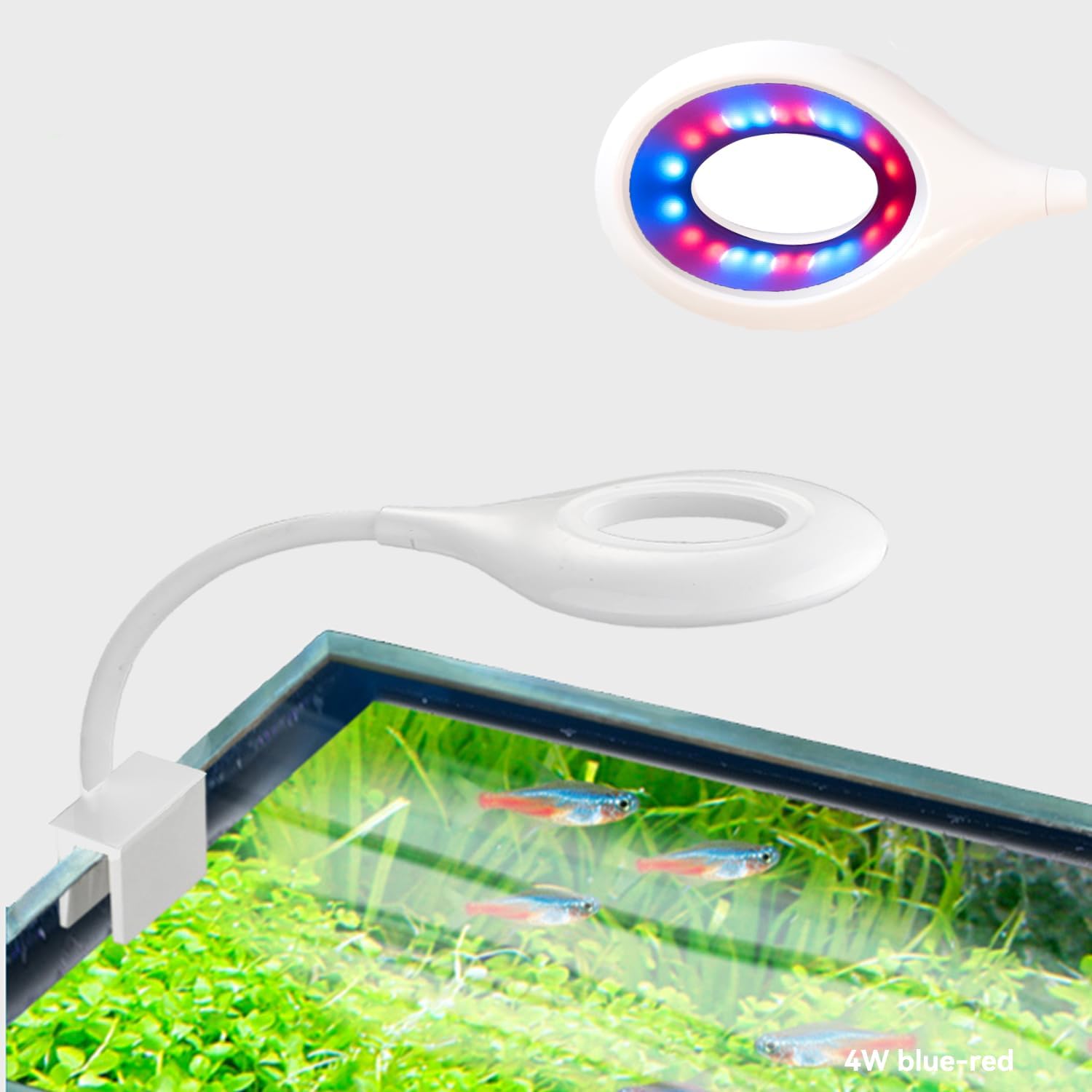 0.5-5 Gallon Fish Tank Clip On Aquarium Light with White Blue Red LEDs Small Aquarium Light,Full Spectrum Fish Tank Light with USB Port and 360 Degrees Flexible Rotate