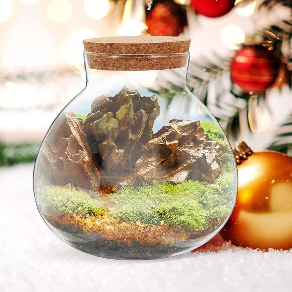 2Pcs Spherical Glass Terrarium Bottles with Cork Lid Clear Airtight Sealed Jars for Micro Landscape Succulent Plants Home Decor 5.11 Inch