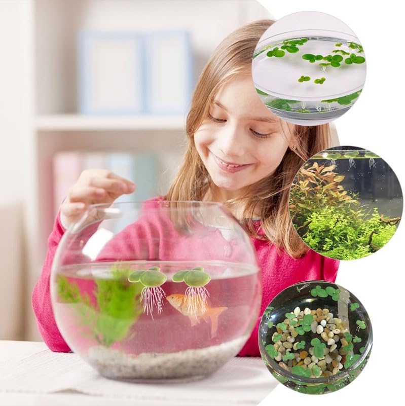 Amosfun 54pcs Fake Duckweed Aquarium Floating Plants Mini Light Green Floating Fish Plants Aquarium Tank Decor 1.57x1.57x3.54 Inch