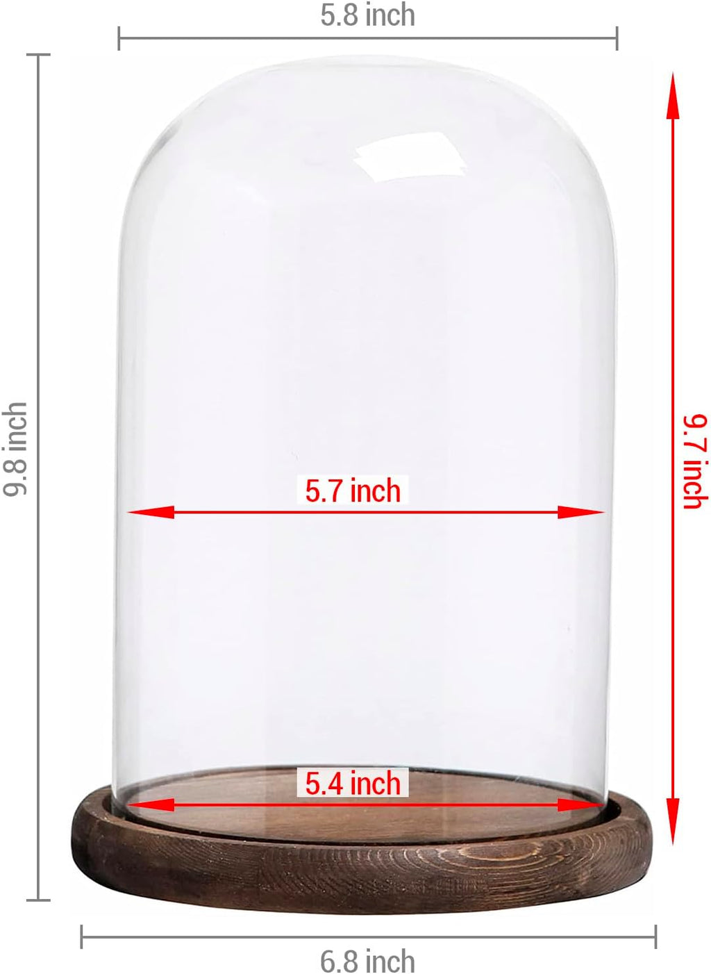 MyGift The Bell Jar Glass Cloche with Rustic Wood Base, 10 Inch Tall Clear Decorative Glass Dome Display for Plants, Curios, Keepsakes, Heirlooms